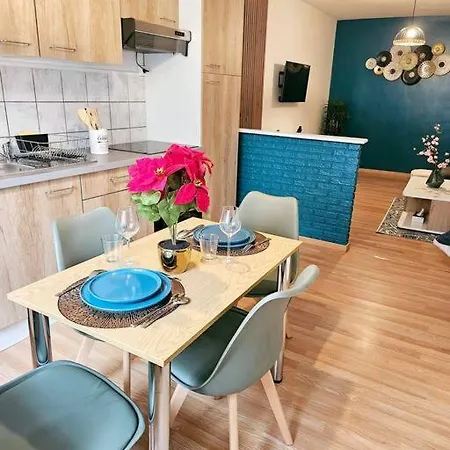 Spacieux Et De 47 M2 公寓 *